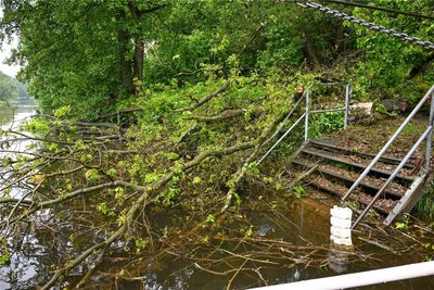 Durch das Unwetter sind Bäume auf die Fähranlegestelle an der Zschopau gefallen. Der Fährbetrieb ist zwischen Wasserschänke und Sachsenburg eingestellt.