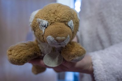 Das zerliebteste Stück aus Aljonas altem Kinderzimmer brachte Tatiana persönlich mit. Ein hellbraunes Löwenbaby aus Plüsch.