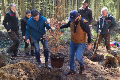 Auftakt für ein besonderes Projekt: Im Buchholzer Wald wurden Buchen gepflanzt.