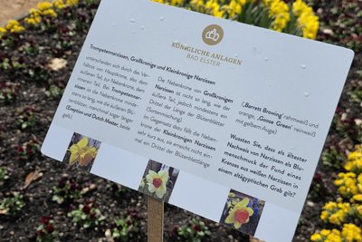 Blumenfreunde kommen in den Parkanlagen in diesen Tagen voll auf ihre Kosten.