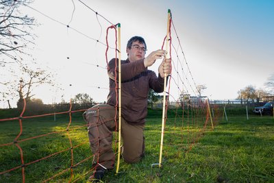 Nach dem Wolfriss wurden die Sicherheitsvorkehrungen nochmals verbessert. Nun schützt unter anderem ein 1,20 Meter hoher Elektrozaun die Pausaer Schafsherde.