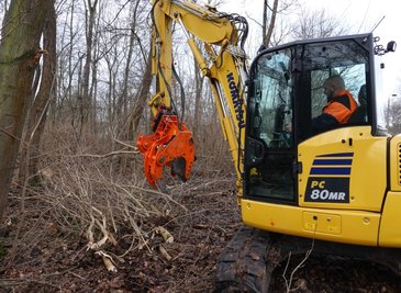 Steven Näther rückt mithilfe eines sogenannten Woodcrackers dürrem Aufwuchs in dem Wäldchen am Mulderadweg in Zwickau zu Leibe. 