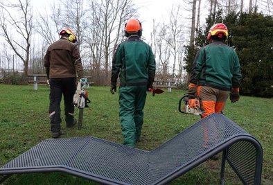 Abgestorbene Bäume, beispielsweise Birken, werden in der Fläche neben der sogenannten Calisthenics-Anlage am Mulderadweg beseitigt.