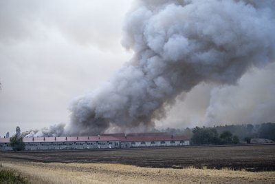 Auch eine Schweinemast-Anlage stand in Flammen.
