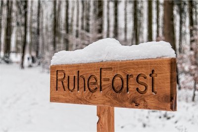 Für den Ruheforst ist zunächst ein Hektar aktiviert. 