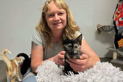 Laut Tierheimleiterin Peggy Kreher werden Katzenkinder möglichst nur im Doppelpack vermittelt.