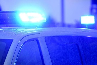 85-Jähriger bei Zwönitz vermisst: Fährtenhund Doug findet Pilzsammler - 