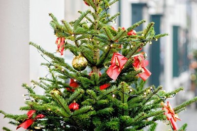 Vorweihnachtliche Stimmung soll ab dem Wochenende auch im Siedlercamp in Geyer herrschen. 