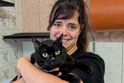 Milan ist vor Kurzem in sehr schlechtem Zustand von Kindern gefunden worden. Inzwischen geht es dem Kater besser und er zeigt nicht nur Tierheim-Mitarbeiterin Lissi Burkhardt seine Zuneigung.