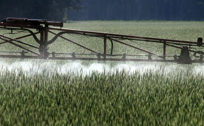 Ein Landwirt versprüht Pflanzenschutzmittel über ein Roggenfeld.