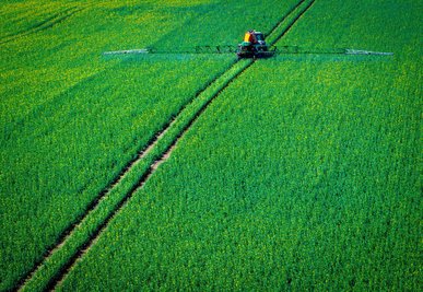Ein Traktor zieht eine Spritzmaschine über ein Rapsfeld