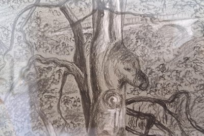 Eine Zeichnung vom sogenannten Pferdekopfbaum im Niederwiesaer Wald.