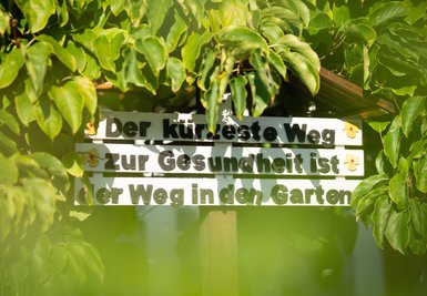 Langjährige Gärtner wissen, warum sie das eigene Stück Grün nicht aufgeben wollen: Es hält Leib und Seele zusammen.