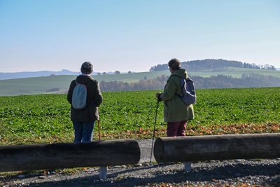 Am gegenüberliegenden Spitzberg in Kleinolbersdorf-Altenhain sollen die Juwi-Windräder stehen.