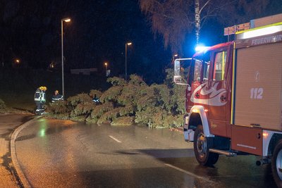 Ein umgestürzter Baum blockierte am Samstagabend eine Straße in Treuen.
