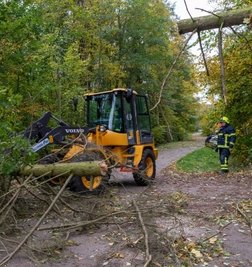 Bei Seelitz stürzten Bäume um, auch eine Telefonleitung und ein Strommast wurden beschädigt.