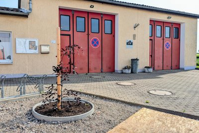 An der Blutbuche in Bieberstein bei Freiberg soll der Gedenkstein aufgestellt werden.