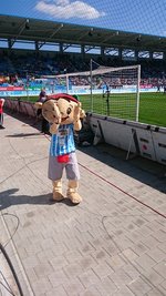 Maskottchen Yoki beim Heimspiel gegen Osnabrück.