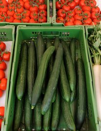 Darf wieder wachsen, wie sie will: die Salatgurke. Exemplare aus dem Gewächshaus mussten bisher mindestens 250 Gramm wiegen.   