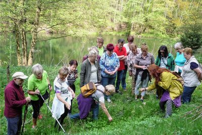 Zu einer Kräuterwanderung wird für Samstag in den Werdauer Landwehrgrund eingeladen.