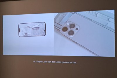 In der Videoinstallation „Notes on Ecocide“ zeigt Elza Gubanovas die ökologischen Folgen kriegsbedingter Umweltzerstörung.