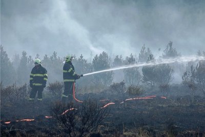 Tschechische und deutsche Kameraden bekämpfen gemeinsam einen Torfbrand unmittelbar hinter der Grenze. 
