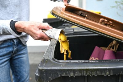 Nur in kleinen Mengen ein Fall für den Kompost: Wer sichergehen will, wirft Bananenschalen lieber in die Biotonne. 