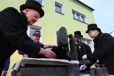 Beim Katzenwiegen in Voigtsdorf spielt vor allem Kater Pablo die Hauptrolle. Jens Lommatzsch (l.), Kevin Moritz und Jonny May (v.r.) überwachen den Vorgang.