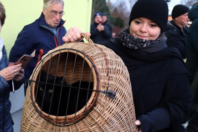 Sara Lommatzsch bringt Kater Pablo zum Katzenwiegen auf dem Weihnachtsmarkt in Voigtsdorf.