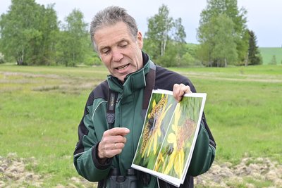 Thomas Findeis stellte unter anderem mit dem Goldenen Scheckenfalter einen seltenen Schmetterling vor, der in diesem Gebiet zu finden ist.