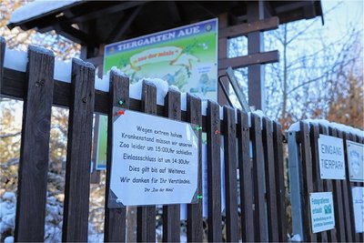 Im Auer Zoo der Minis bleibt es aufgrund des hohen Krankenstandes bei den verkürzten Öffnungszeiten. 