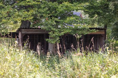 Der Doppelzwinger steht einfach auf einer zugewachsenen Wiese. Dahinter ist bereits ein weiterer Doppelkäfig in Vorbereitung. Das lässt die Anwohner Schlimmes befürchten.