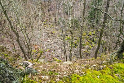 Blick in den Abgrund. Wohin man schaut: Steine und Wildwuchs.
