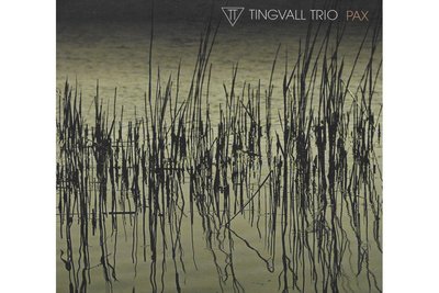 „Pax“ ist das neue Album von Pianist Martin Tingvall.
