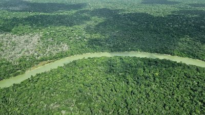 Die Dresdner Philharmonie hat für eine  musikalische Hommage an den Regenwald im Amazonas-Gebiet viel Beifall bekommen. (Archvbild)