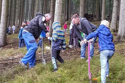 Mit Hilfe von Grundschülern sind in Oberschlema am Donnerstag zahlreiche Weißtannen gepflanzt worden.