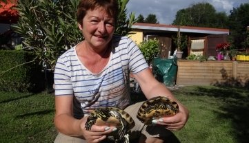 Gabriele Bergler hat beide Schildkröten wieder. 