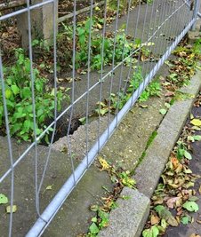 Der Fußweg an der Burgstädter Straße ist teilweise eingestürzt.