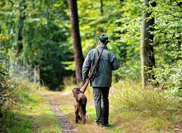 Die Jagd ist kein Freizeitvergnügen - und Jagdgenossenschaften keine Vereine, sondern Körperschaften des öffentlichen Rechts. Das ist eine Ursache, dass seit Anfang April 2021 für 54 Jagdgenossenschaften im Vogtlandkreis ein Notjagdvorstand eingesetzt wurde. Die Coronaauflagen haben die Zahl in die Höhe schnellen lassen. 