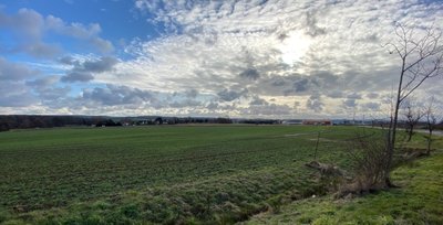 Das geplante Amazon-Verteilzentrum im Industriegebiet Dittersbach soll um eine Teilfläche von 5,5 auf 7 Hektar erweitert werden.