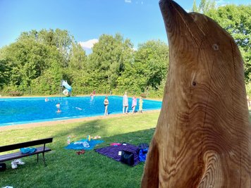 Ein Delfin als Holzskulptur ziert das Bockauer Freibad. 