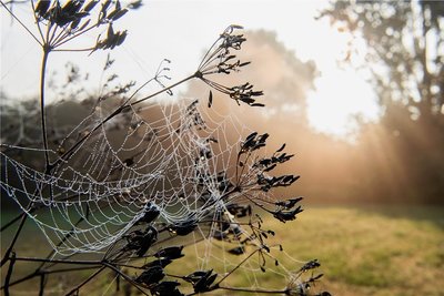 Der Herbst hält interessante Motive bereit. 