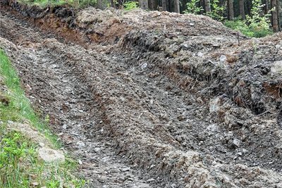 Ein Waldweg wie eine Ackerfurche, aufgenommen Ende Mai in Rittersgrün. Bilder wie diese rufen Kritik an der Holzernte hervor. 
