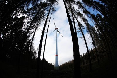 Windräder im Wald - ein Szenario, das es bei Triebel und Bösenbrunn geben könnte.