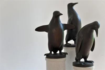 Die Pinguine stehen im Haus Moritzstraße 18.