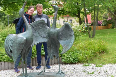 Die Kraniche im Park der Generationen am Forstweg begeistern auch junge Menschen.