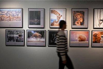 Ausgewählte Museen in Chemnitz sind künftig einmal im Monat wieder kostenfrei geöffnet. 