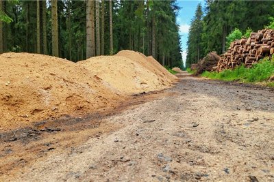 Draußen auf dem Waldweg liegen Sägespäne bereit. Holzhackschnitzel werden vor Ort produziert. Dafür werden die Baumstämme rechts geschreddert.