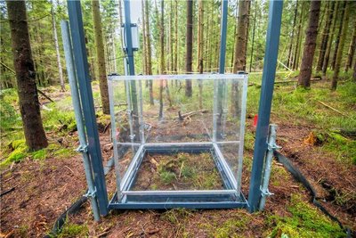 Eines der Geräte, die Moorausdünstungen messen. Die Plexiglasglocke fährt automatisch hoch und runter.