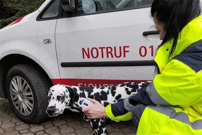 Sandra Kögel arbeitet bei der Tierrettung Chemnitz und sagt, dass das Chippen von Hunden wichtig sei, um Tier und Halter wieder zueinander zu führen.